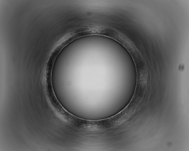 X0000101660730200807101253