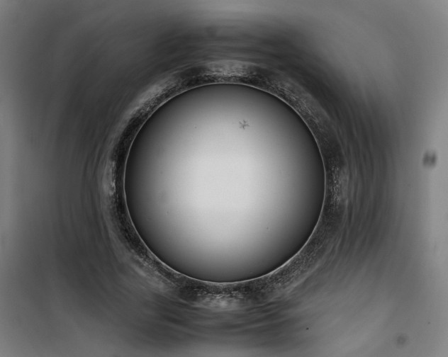 X0000101660731200807101253