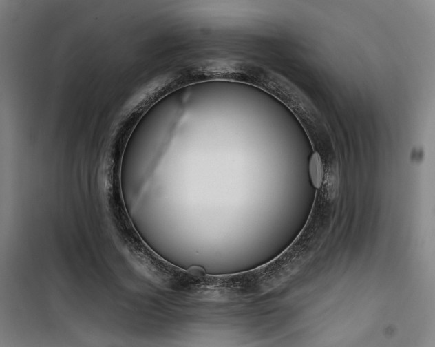 X0000101660732200807101253