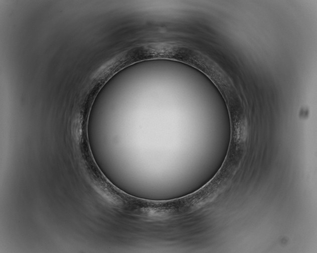 X0000101660733200807101253