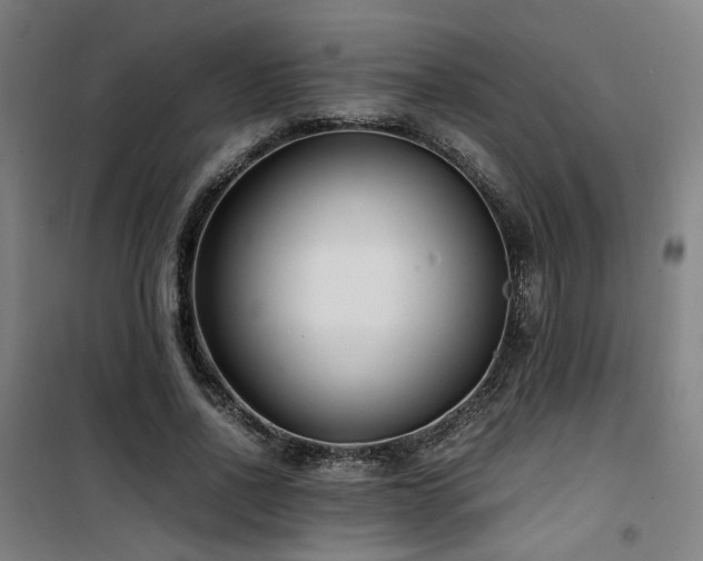 X0000101660734200807101253