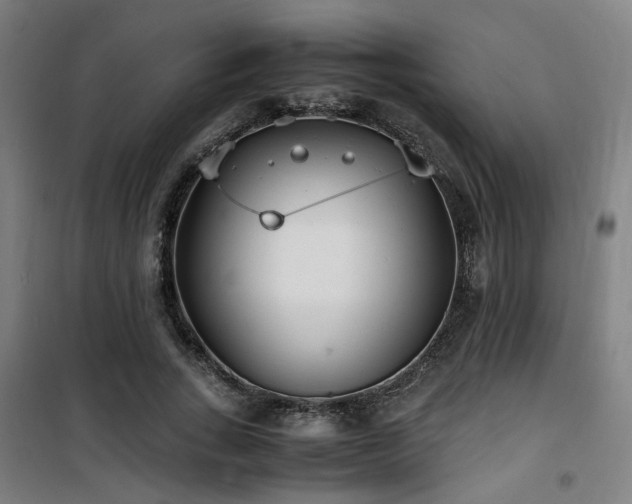 X0000101660735200807101253