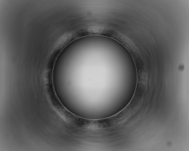 X0000101660738200807101253