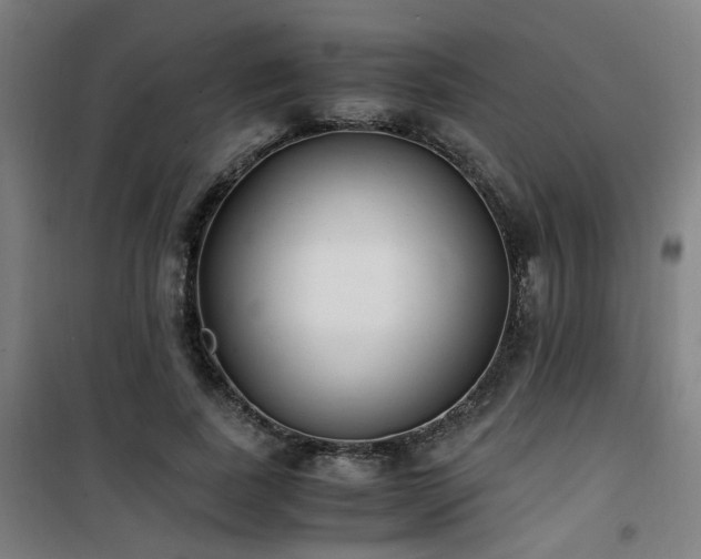 X0000101660739200807101253