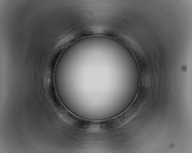 X0000101660740200807101253