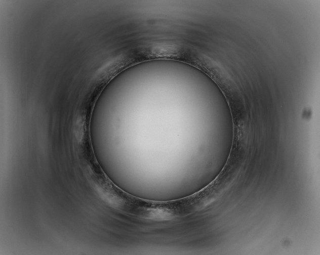 X0000101660741200807101253