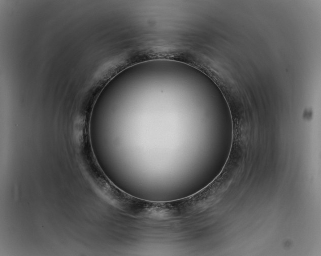 X0000101660742200807101253