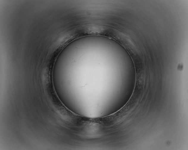 X0000101660743200807101253