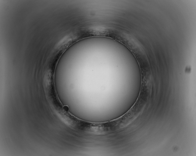 X0000101660744200807101253