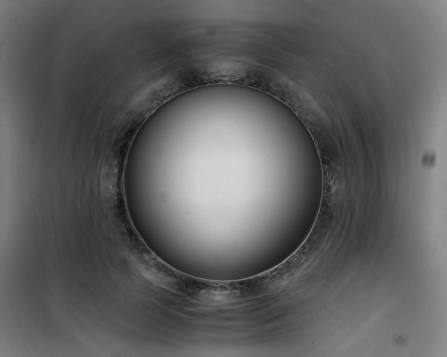 X0000101660745200807101253