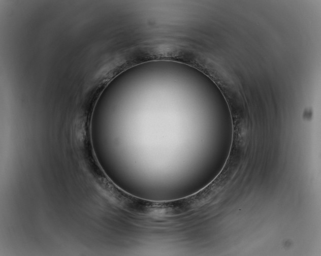 X0000101660746200807101253