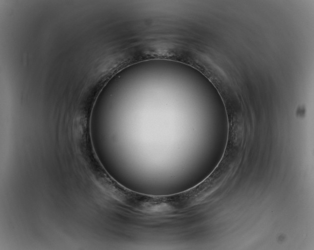 X0000101660747200807101253