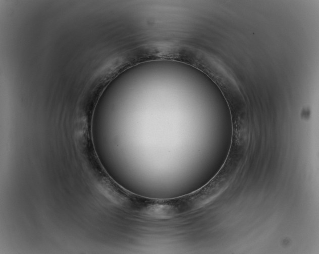 X0000101660748200807101253