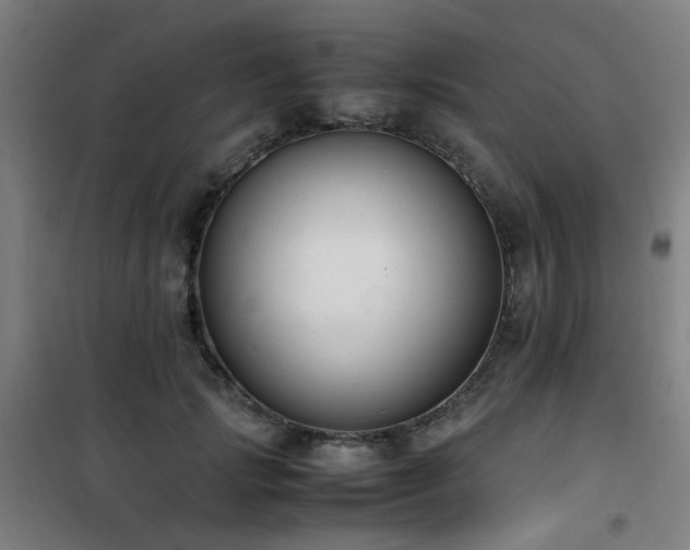 X0000101660749200807101254