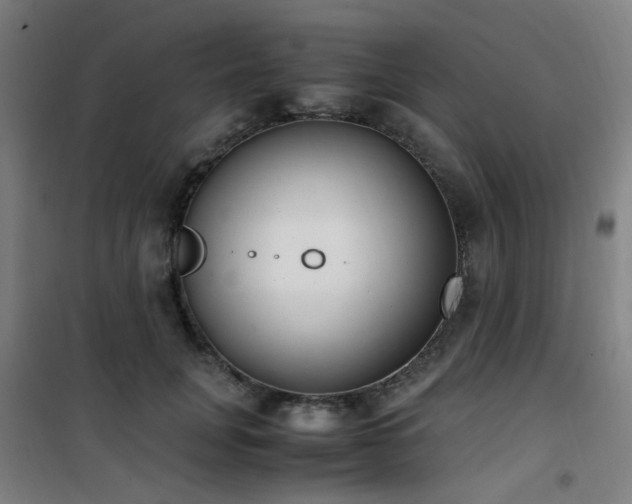 X0000101660751200807101254