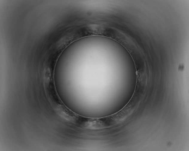 X0000101660752200807101254