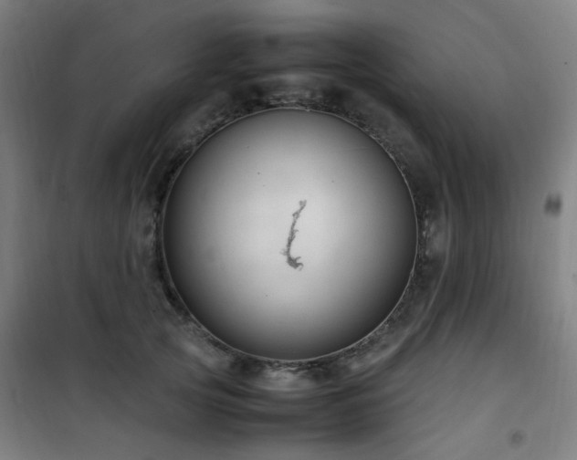 X0000101660753200807101254