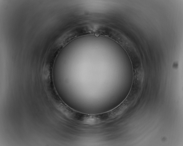 X0000101660754200807101254