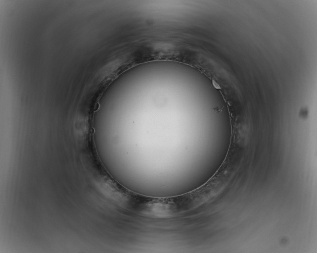 X0000101660756200807101254