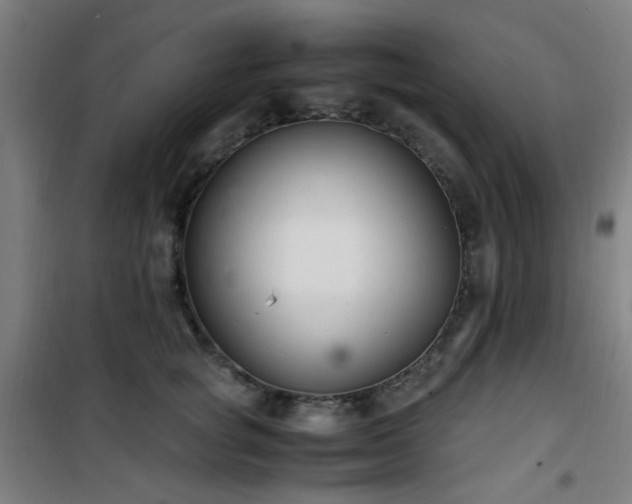 X0000101660757200807101254