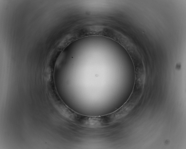 X0000101660758200807101254