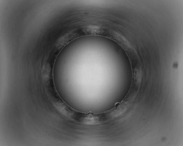 X0000101660760200807101254