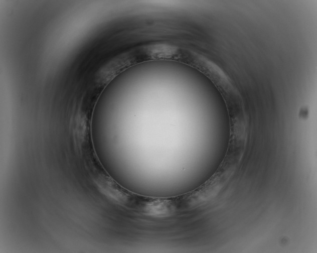 X0000101660761200807101254