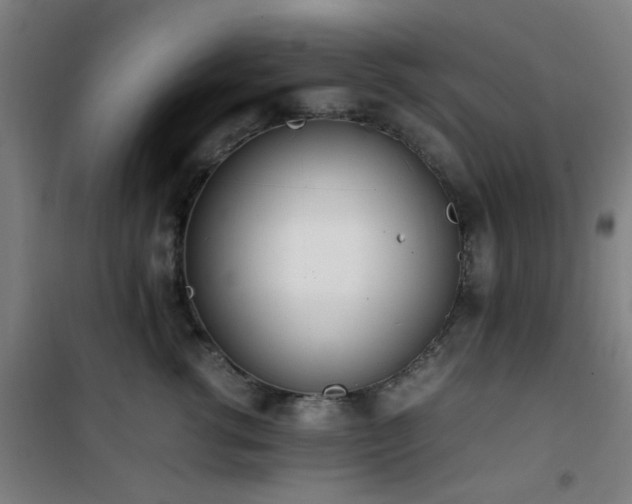 X0000101660762200807101254