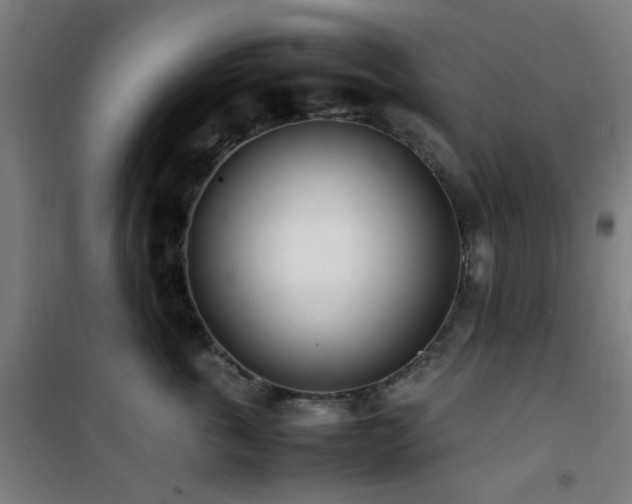 X0000101660763200807101254