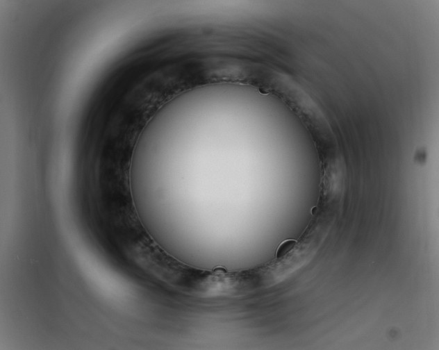 X0000101660764200807101254