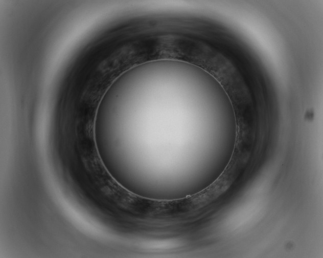 X0000101660765200807101254