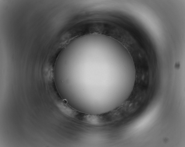 X0000101660766200807101254