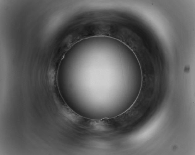 X0000101660767200807101254