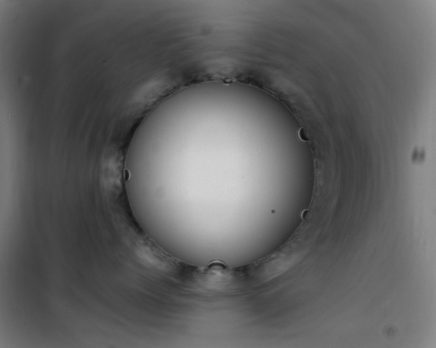 X0000101660768200807101254