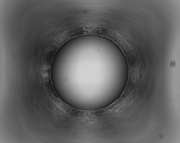 X0000101660770200807101253