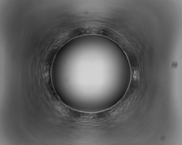 X0000101660771200807101253