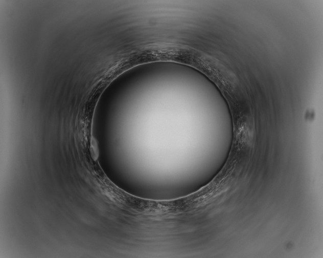 X0000101660772200807101253