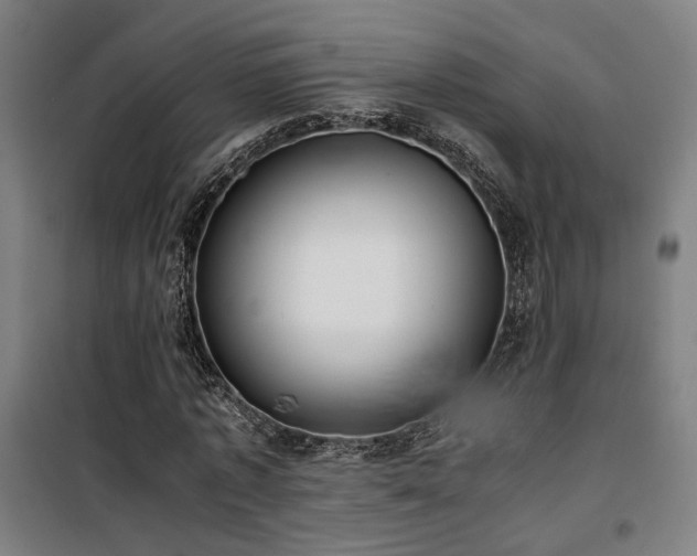 X0000101660773200807101253