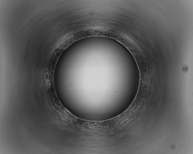 X0000101660774200807101253