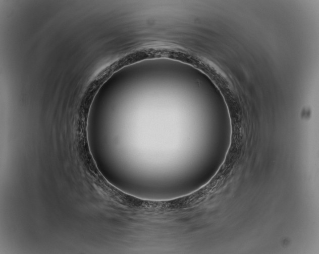 X0000101660775200807101253