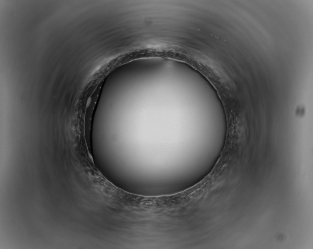 X0000101660776200807101253