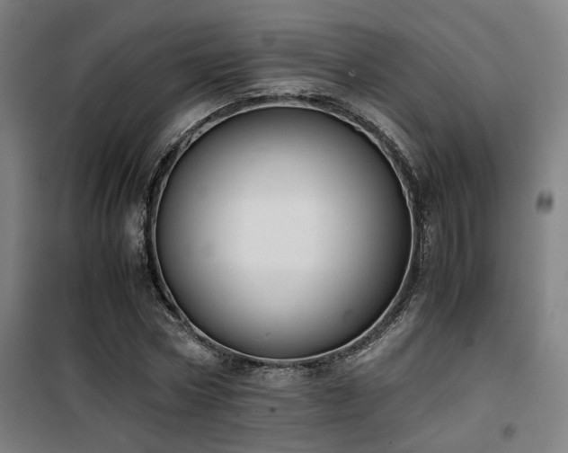 X0000101660778200807101253