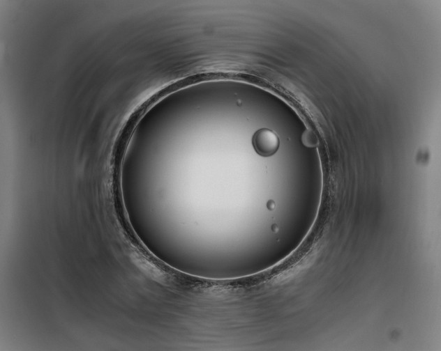 X0000101660779200807101253