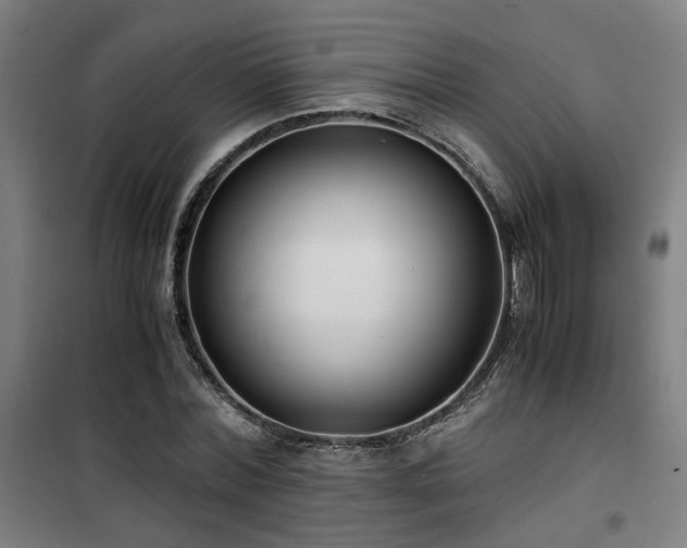 X0000101660780200807101253