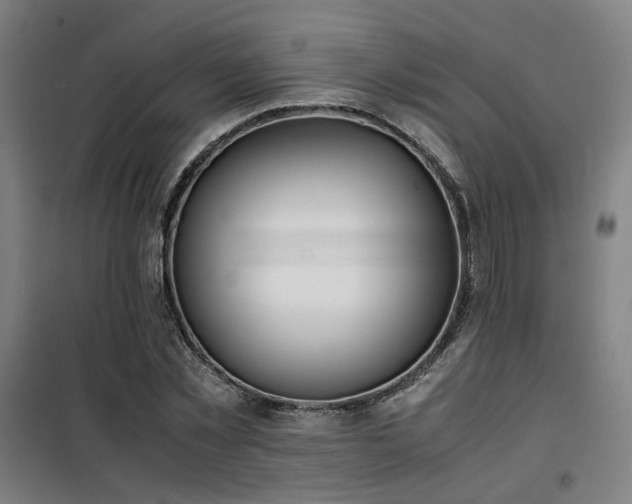 X0000101660781200807101253