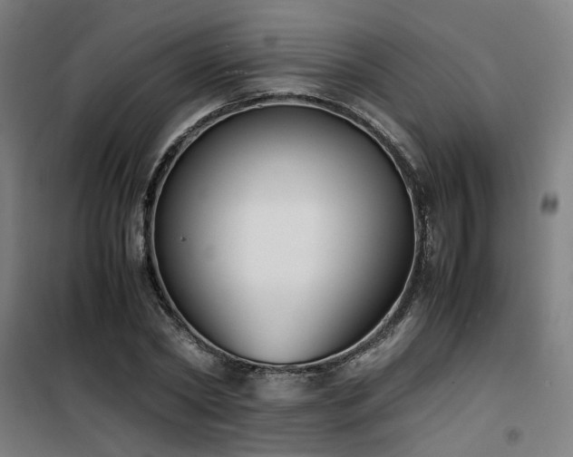 X0000101660782200807101253