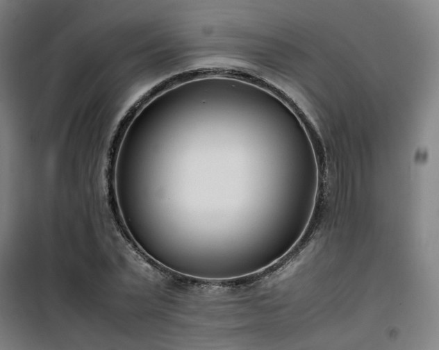 X0000101660783200807101253