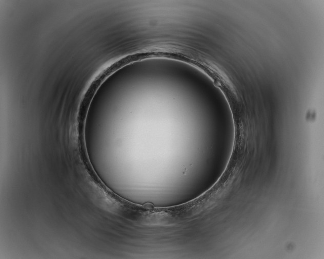 X0000101660784200807101253