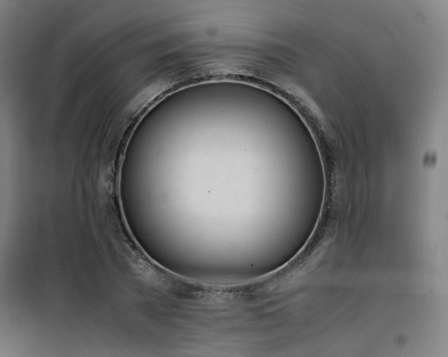 X0000101660785200807101253