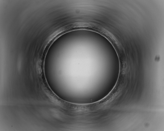 X0000101660786200807101253